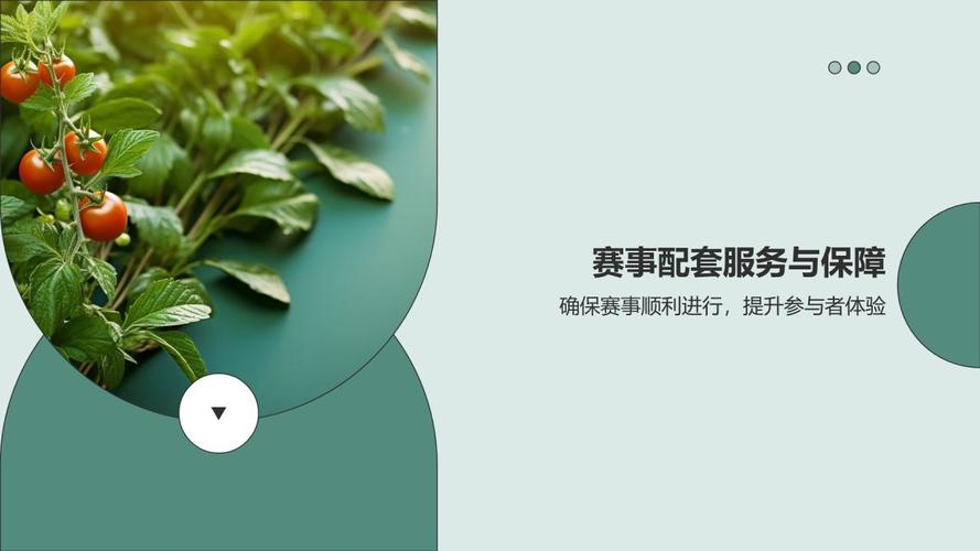赛事健康营销策划 从赛事策划到健康价值共鸣的完整指南